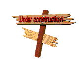 LiLittleFFLionConstructionanimate