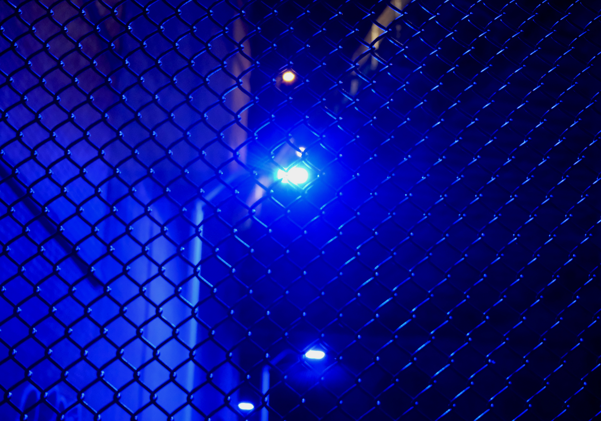 250228_Walk063